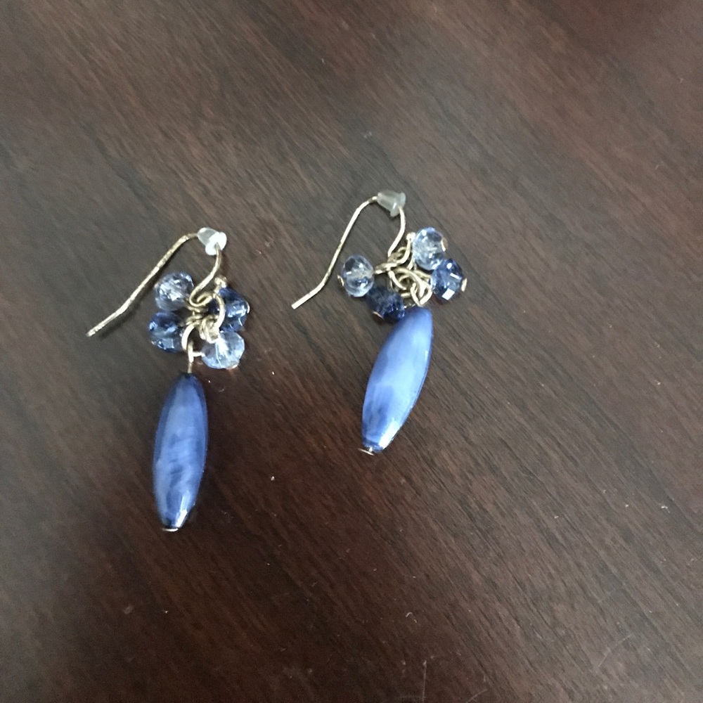 Blue and silver earrings