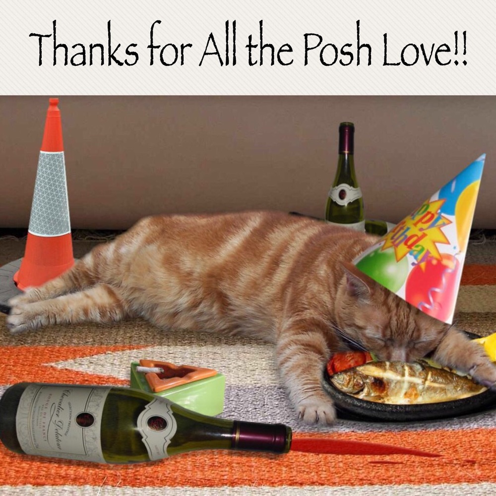 Thanks so much for all your Posh Love & Support!