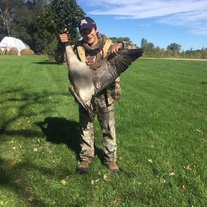 Meet your Posher, Luis