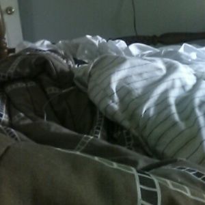 Meet your Posher, Casey