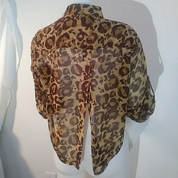 NWT Sheer leopard print crop top - Picture 3 of 3