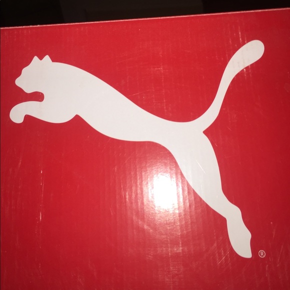 Pumas gray and black never worn - Picture 3 of 4