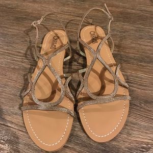 Gladiator Gold Sandal