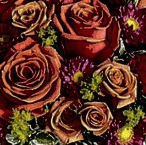 Meet your Posher, Stella