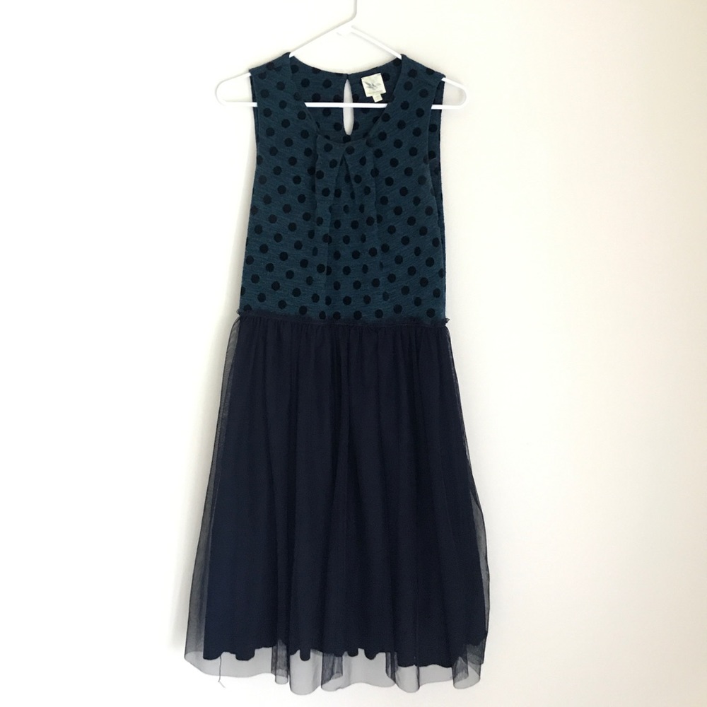 Blue Polka Dot and Tulle Dress