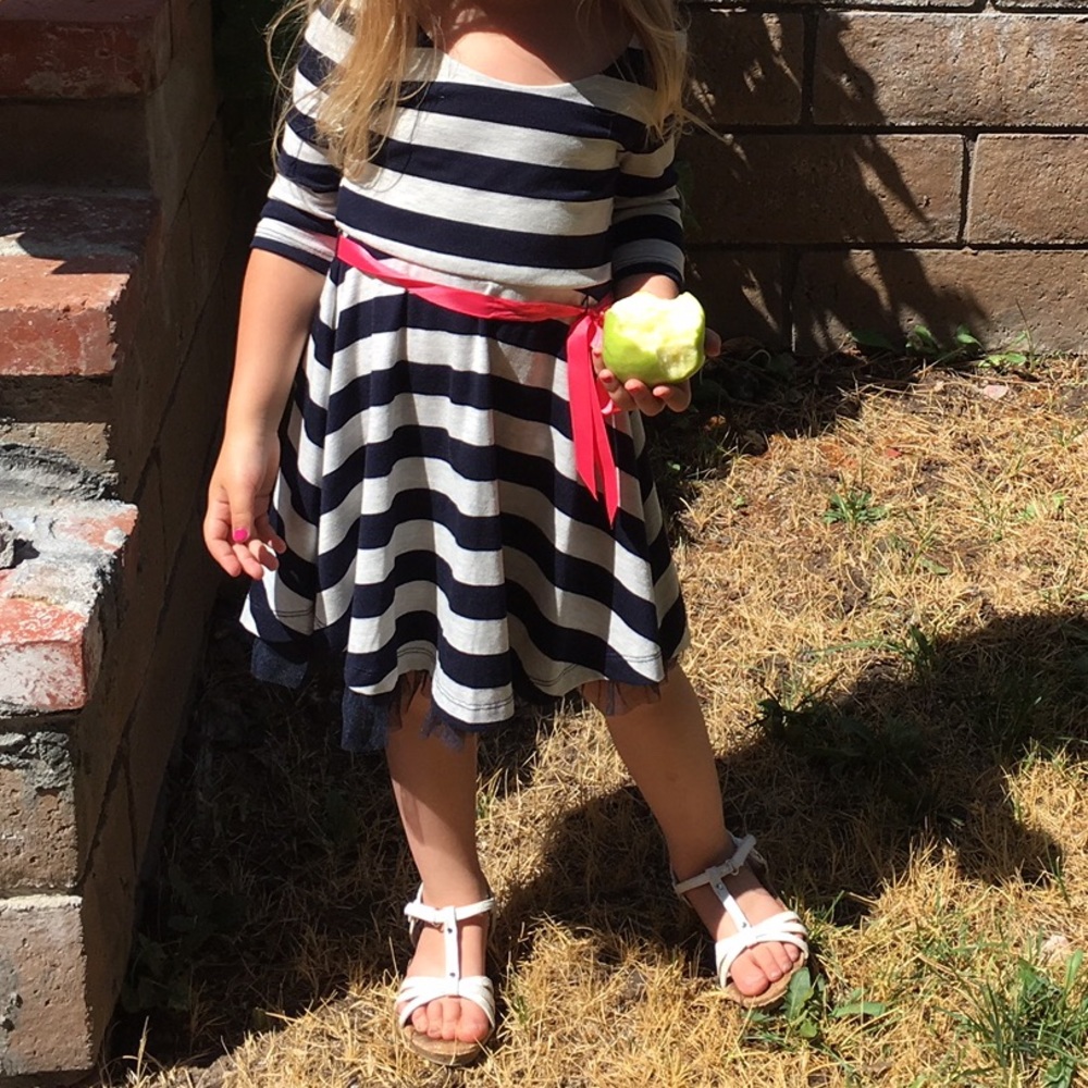 Pink Violet Black Striped Tulle Dress - Girls 6