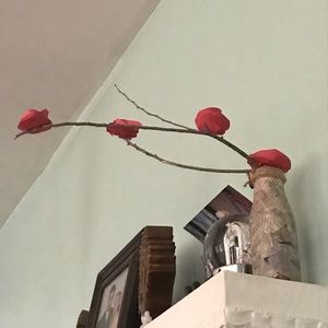 Meet your Posher, Irene