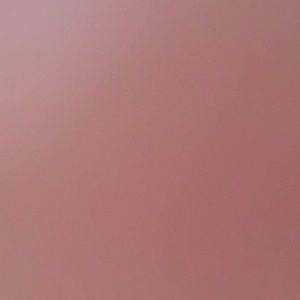 Meet your Posher, Brody