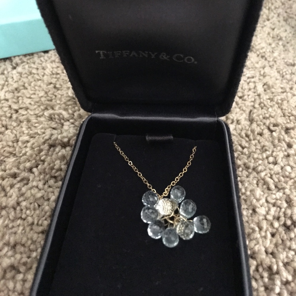 Tiffany necklace never worn