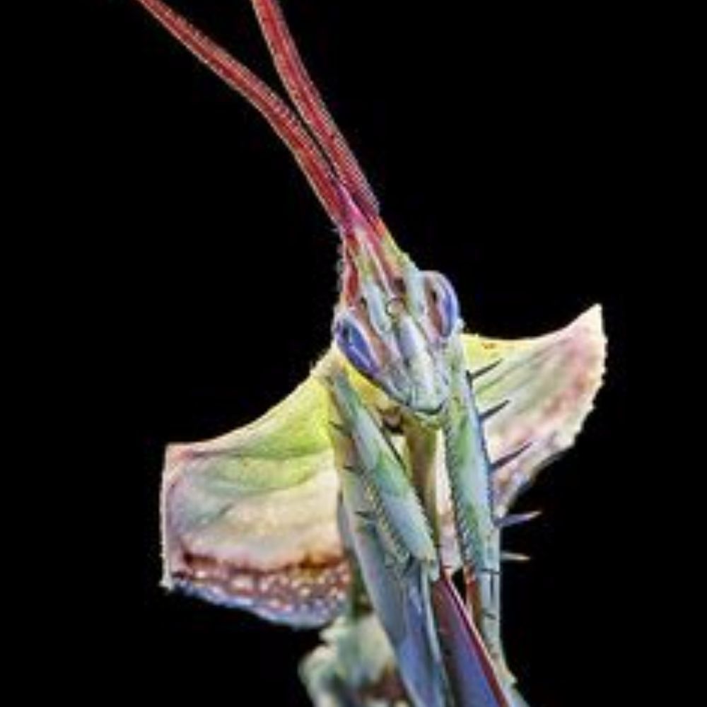 Meet your Posher, Justyna