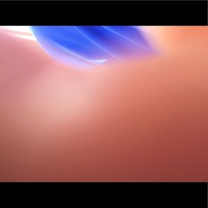 Meet your Posher, Robin