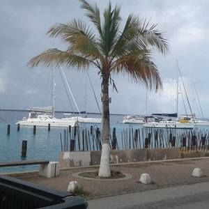 Meet your Posher, Fern