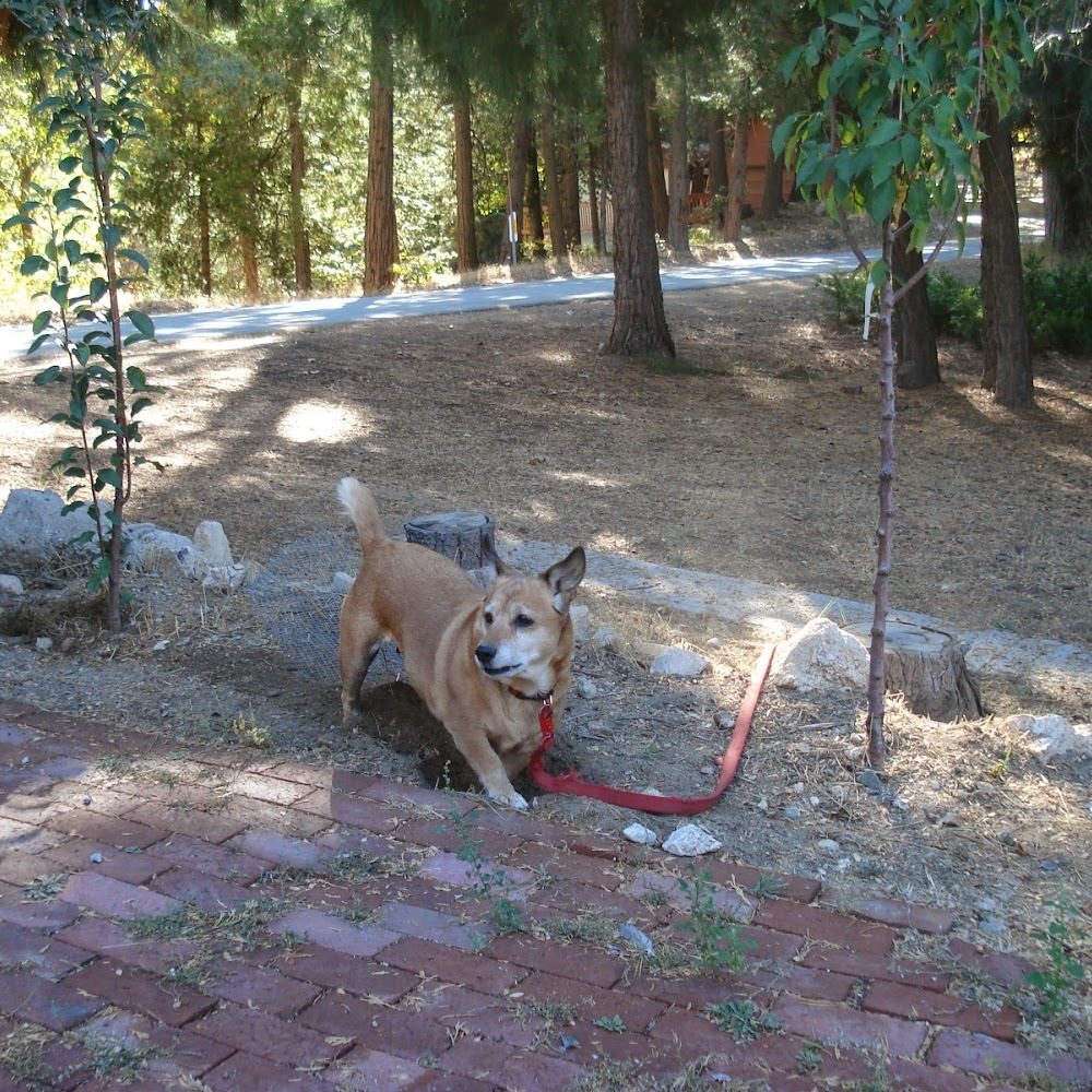 Meet your Posher, Terry