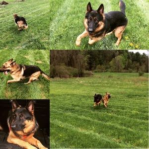 Meet your Posher, Tiffany