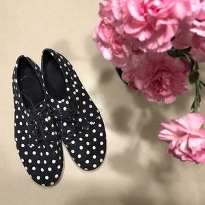 Polka Dot Oxfords - OBO