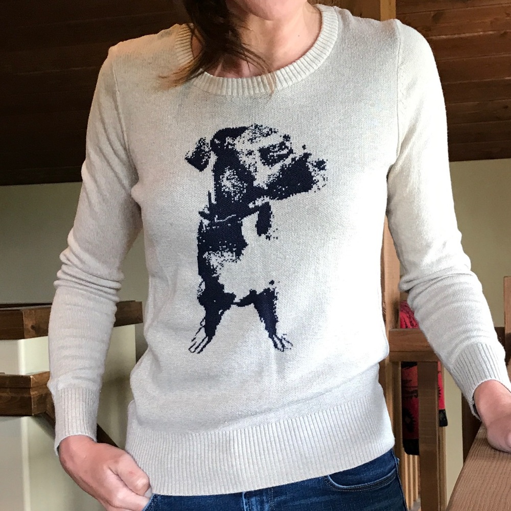 Boxer Dog Sweater