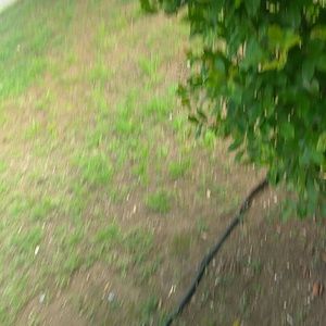 Meet your Posher, Geralna