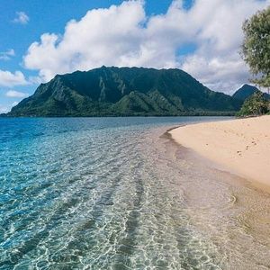 Meet your Posher, Marlon