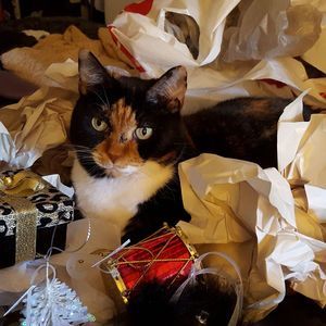 Meet your Posher, Robin