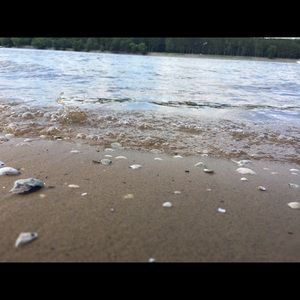 Meet your Posher, Kylee