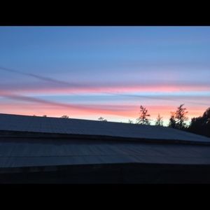 Meet your Posher, Gissel