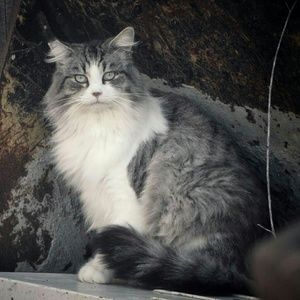 Meet your Posher, Lori