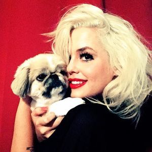 Meet your Posher, Tori