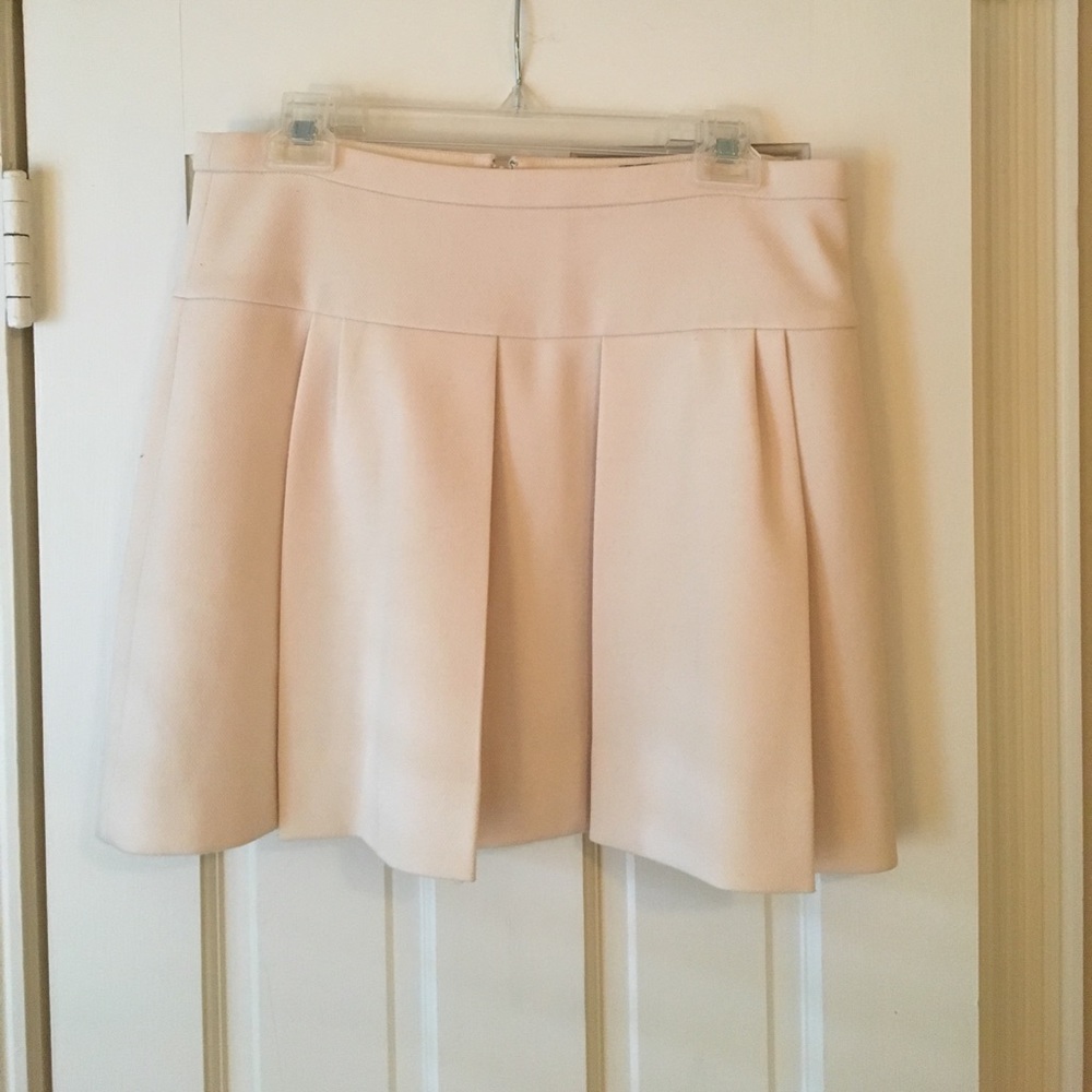 J. Crew skirt