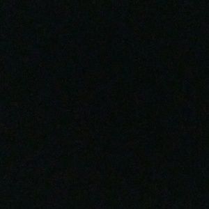 Meet your Posher, Cheyenne