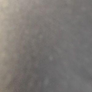 Meet your Posher, Janiya