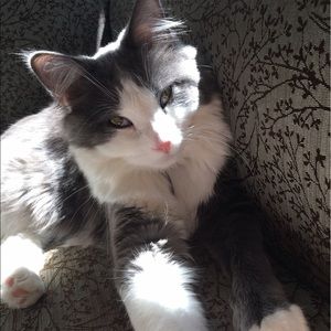 Meet your Posher, Camille