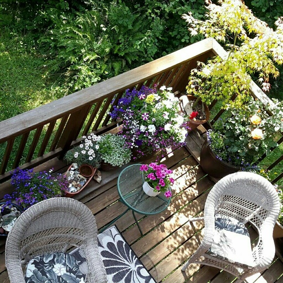 Meet your Posher, Kimberly! - Picture 2 of 4