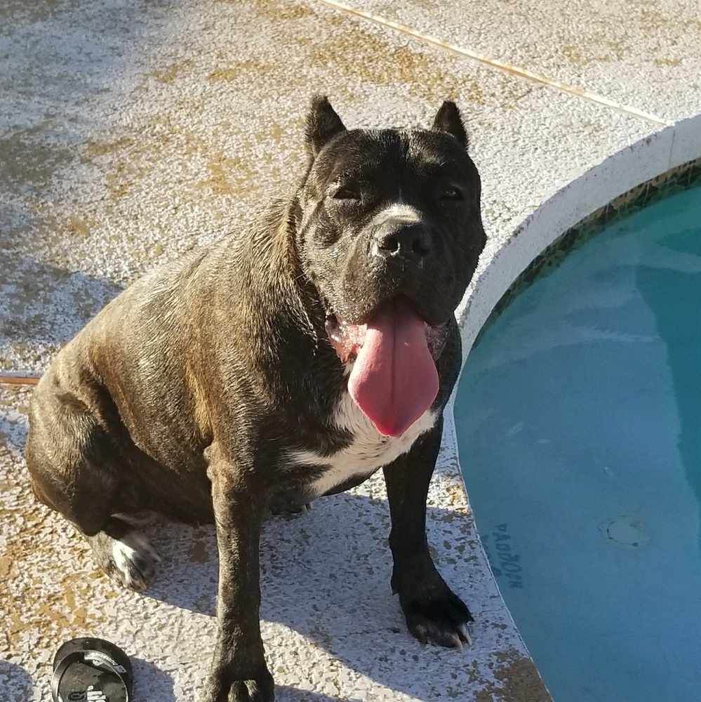 Meet your Posher, Sabina