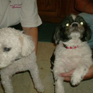 Meet your Posher, Johnna