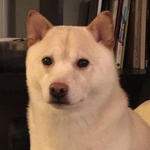 Meet your Posher, Eiji