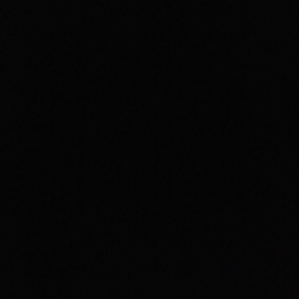 Meet your Posher, Leonard