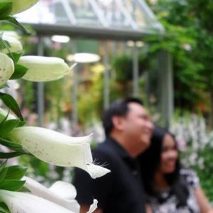 Meet your Posher, Paul