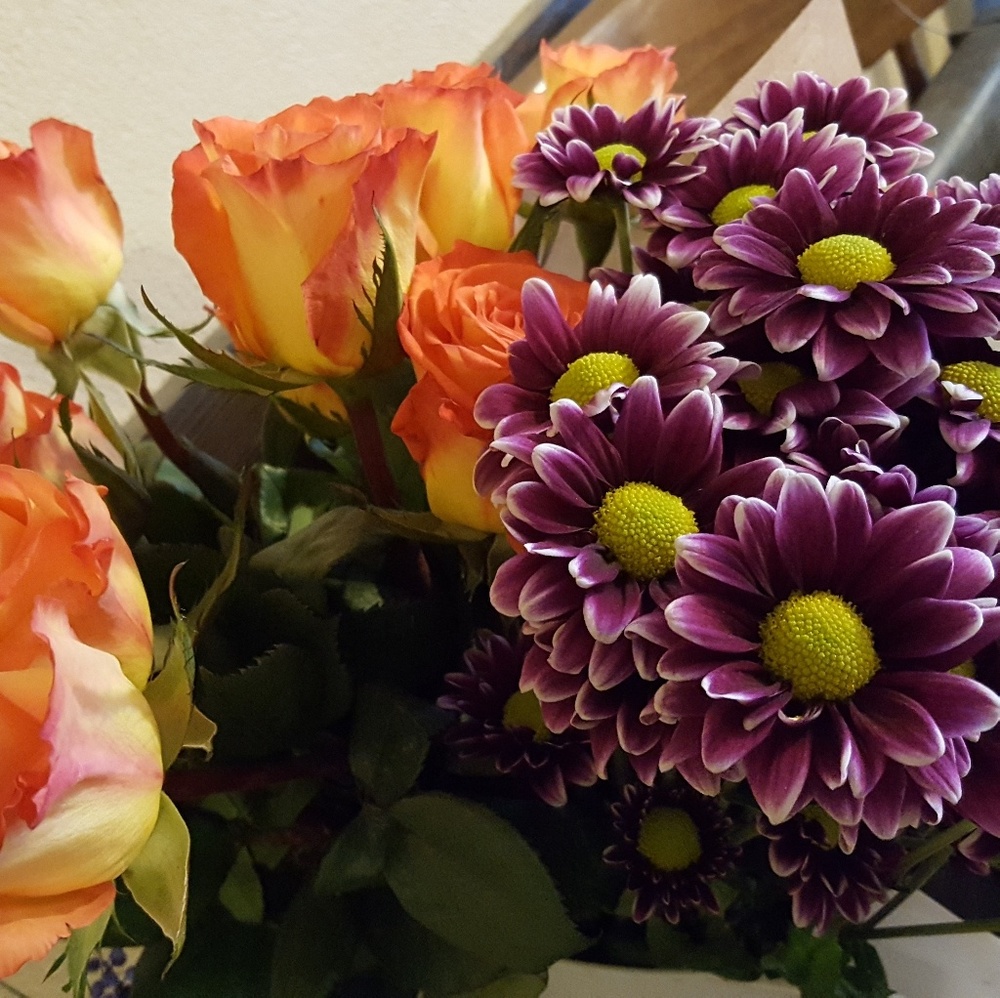 Meet your Posher, Dawn