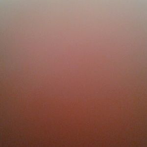 Meet your Posher, Ronae