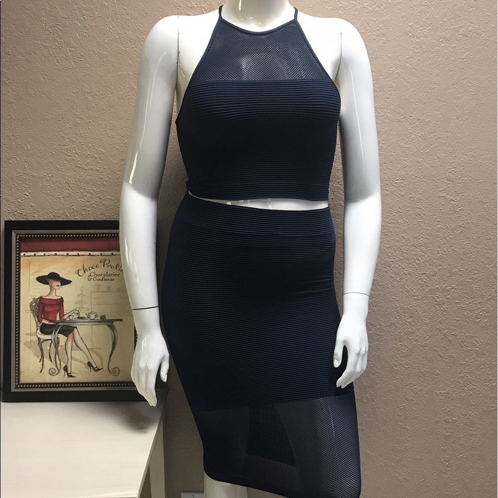NWT BCBG MATCHING MESH CROP TOP AND MIDI SKIRT