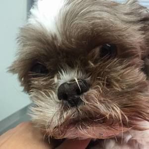 Meet your Posher, Margarette