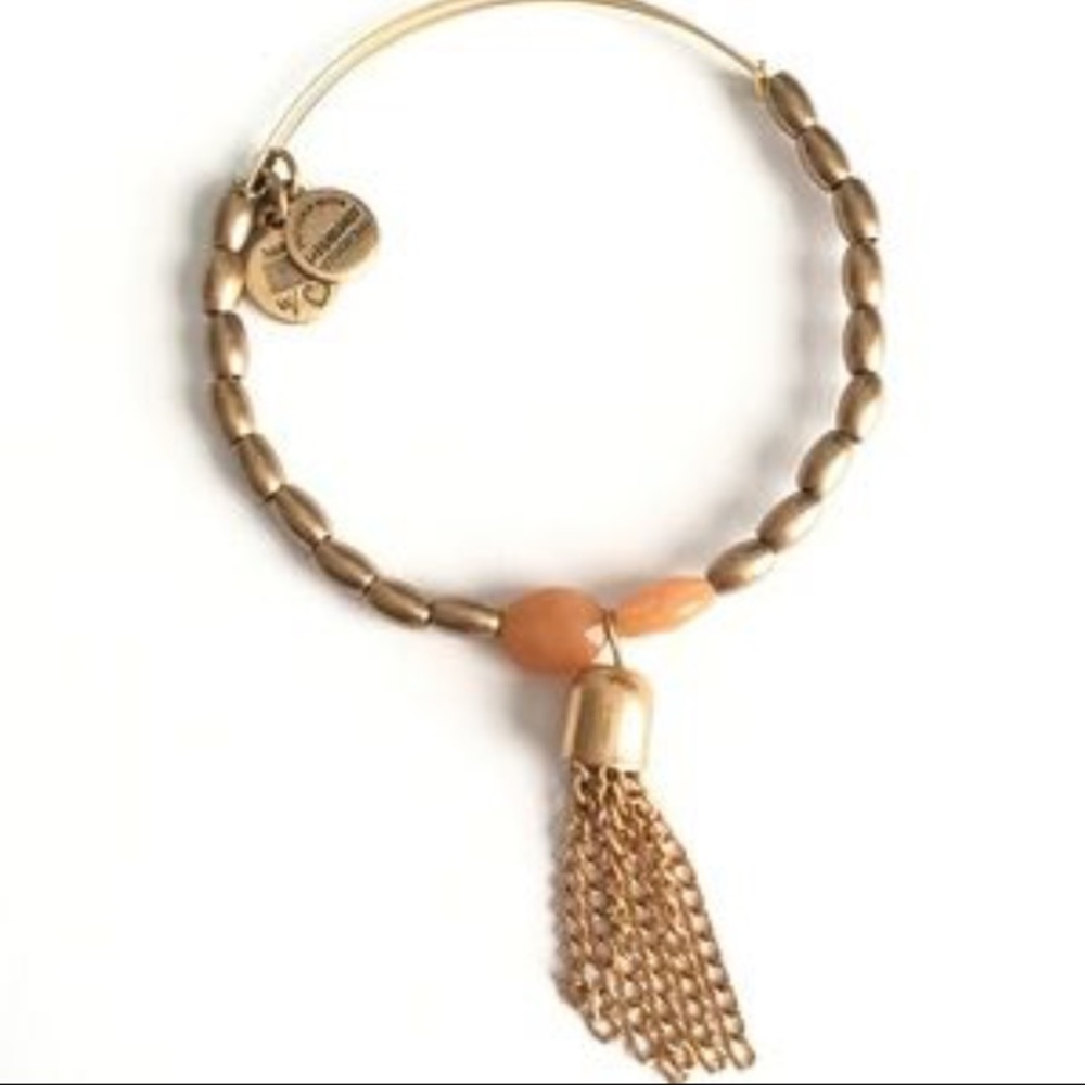 Alex and Ani Artist's Palette tassel bracelet