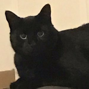 Meet your Posher, Yuting