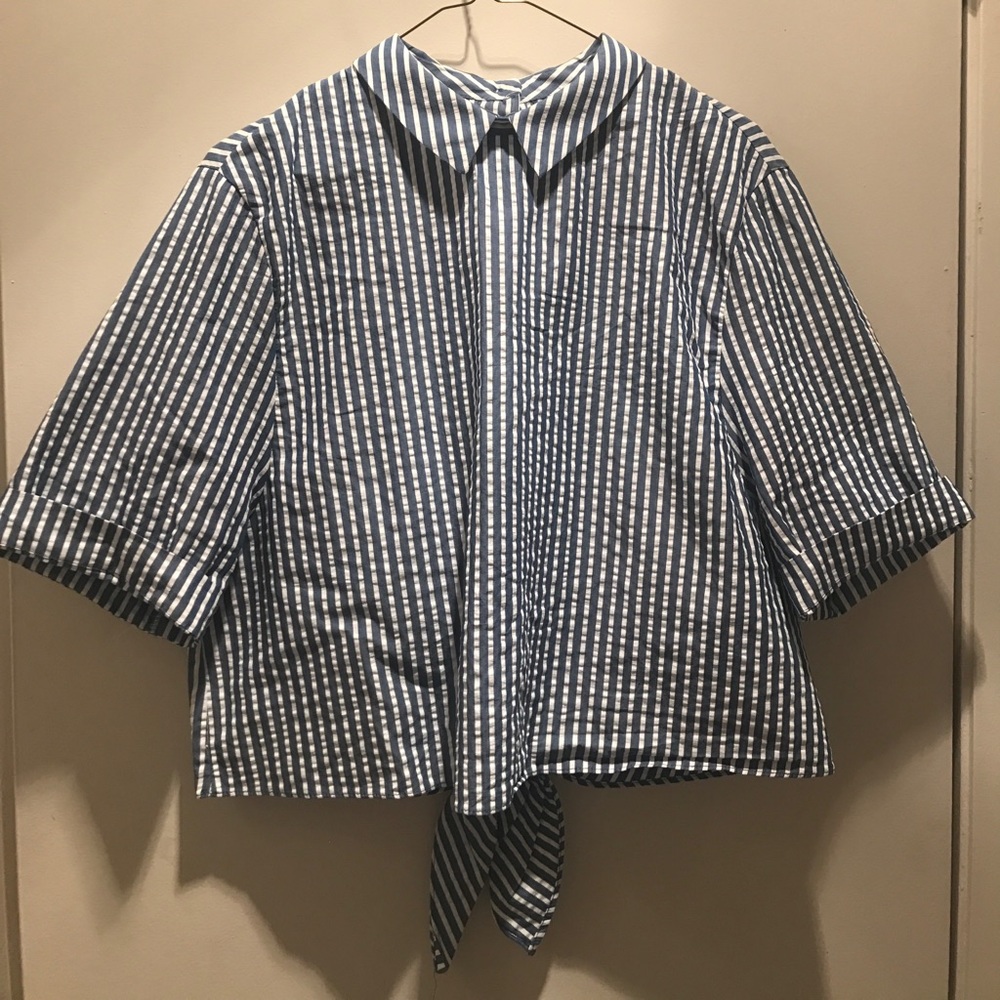 Zara Trafaluc Cropped Top