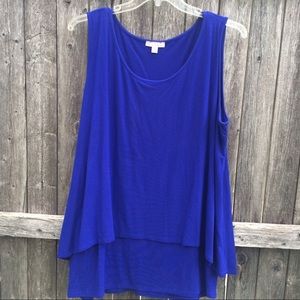 Dressbarn Blue Top
