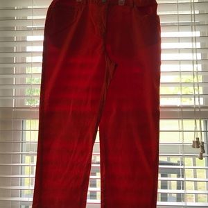 Orange colored ankle/capris pants