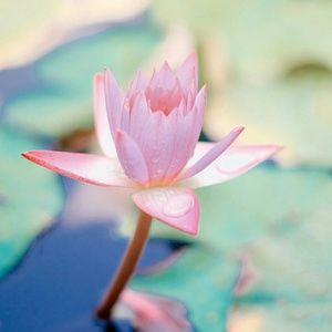 Meet your Posher, Vicki