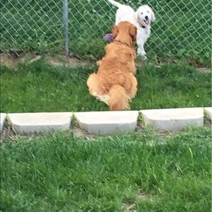 Meet your Posher, Susan