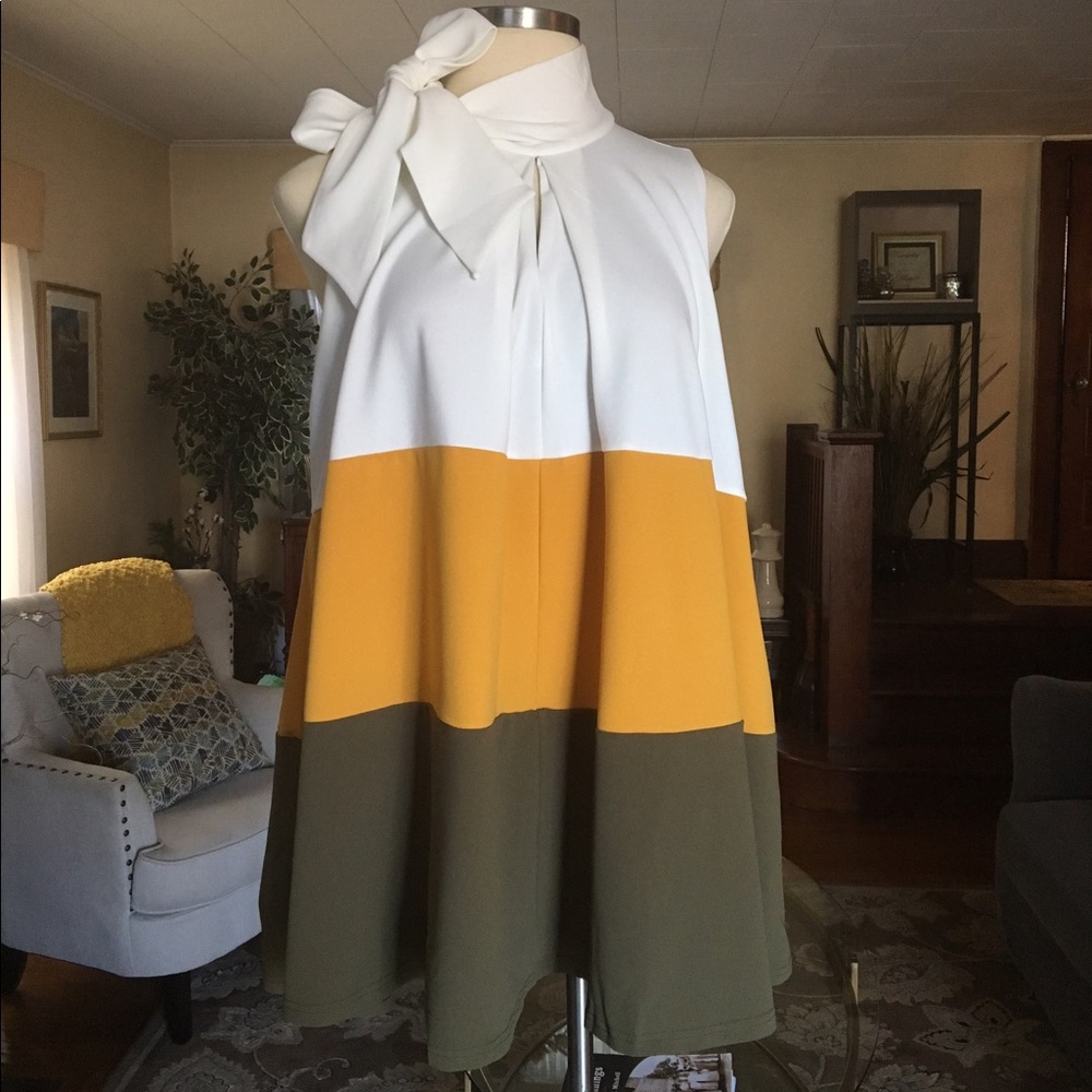 Tri color Trapeze dress.