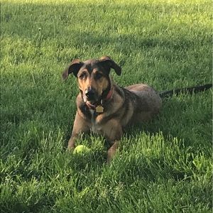 Meet your Posher, Brittney